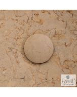 Τάπα Νιπτήρα Fossil Beige TPM01-500